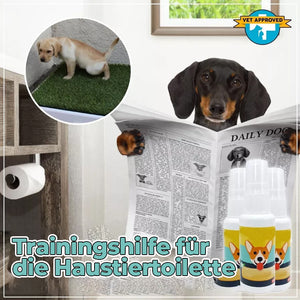 Auslöser für den Stuhlgang