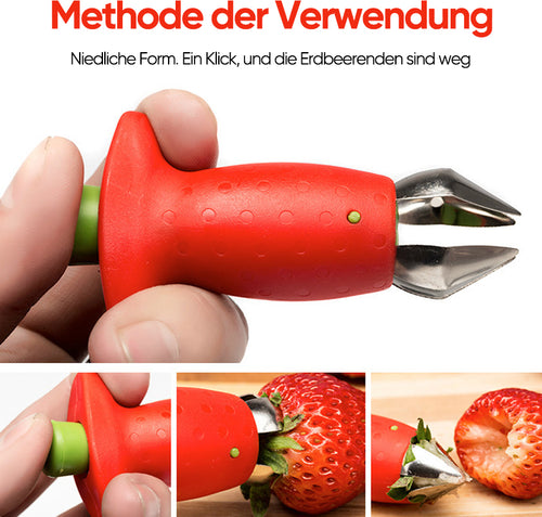 Erdbeerkern Entferner