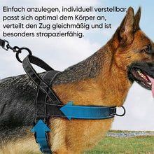 Laden Sie das Bild in den Galerie-Viewer, Ultimatives reflektierendes Anti-Zug-Hundegeschirr