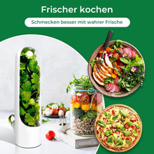 Laden Sie das Bild in den Galerie-Viewer, Frische Lagerung von Koriander-Gemüse