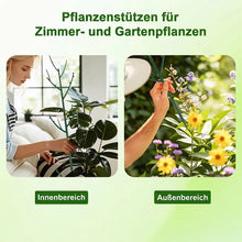 Laden Sie das Bild in den Galerie-Viewer, Astförmige Pflanzenstützen