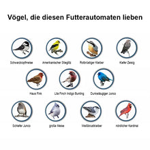 Laden Sie das Bild in den Galerie-Viewer, Anti-Eichhörnchen-Vogelhäuschen