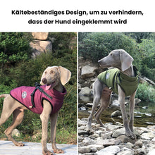 Laden Sie das Bild in den Galerie-Viewer, Wasserdichte Winterjacke für Hunde