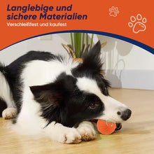 Laden Sie das Bild in den Galerie-Viewer, Elektrischer rollender Haustier-Spielzeugball