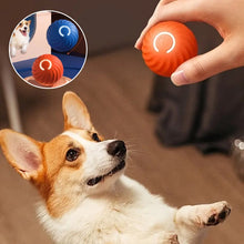 Laden Sie das Bild in den Galerie-Viewer, Elektrischer rollender Haustier-Spielzeugball