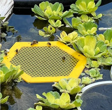 Laden Sie das Bild in den Galerie-Viewer, 🐝 Schwimmende Bieneninsel – Bienentränke