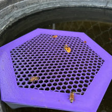 Laden Sie das Bild in den Galerie-Viewer, 🐝 Schwimmende Bieneninsel – Bienentränke