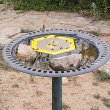 Laden Sie das Bild in den Galerie-Viewer, 🐝 Schwimmende Bieneninsel – Bienentränke