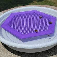Laden Sie das Bild in den Galerie-Viewer, 🐝 Schwimmende Bieneninsel – Bienentränke