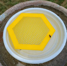 Laden Sie das Bild in den Galerie-Viewer, 🐝 Schwimmende Bieneninsel – Bienentränke