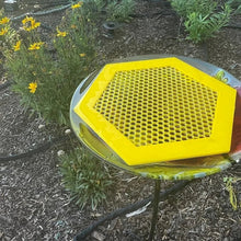 Laden Sie das Bild in den Galerie-Viewer, 🐝 Schwimmende Bieneninsel – Bienentränke