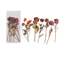 Laden Sie das Bild in den Galerie-Viewer, Getrocknete Blumen Sticker Set
