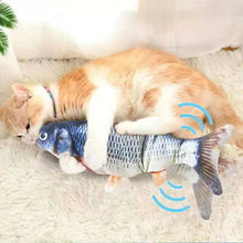 Laden Sie das Bild in den Galerie-Viewer, Elektrischer Fisch für Katze