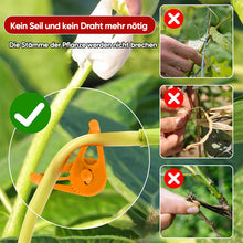 Laden Sie das Bild in den Galerie-Viewer, Biegewerkzeuge für Pflanzen