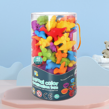 Laden Sie das Bild in den Galerie-Viewer, Farbklassifizierungsspielzeug für Kinder