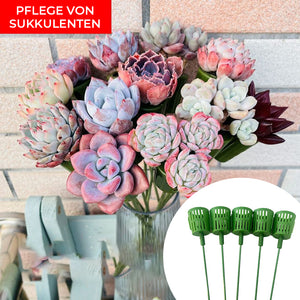 Blumenstraußhalter für Sukkulenten