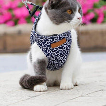 Laden Sie das Bild in den Galerie-Viewer, Geschirr und Leine der Katzenweste zum Gehen im Freien