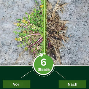 2-in-1 Max Power Unkrautvernichter