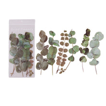 Laden Sie das Bild in den Galerie-Viewer, Getrocknete Blumen Sticker Set