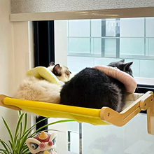 Laden Sie das Bild in den Galerie-Viewer, Katze hängt Bett am Fenster