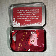 Laden Sie das Bild in den Galerie-Viewer, Weihnachts-Plüschbär-Geschenk
