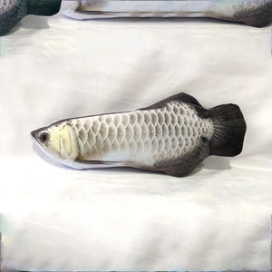 Elektrischer Fisch für Katze