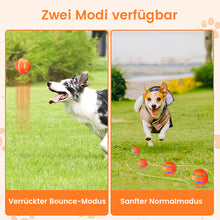 Laden Sie das Bild in den Galerie-Viewer, Intelligenter Haustierball