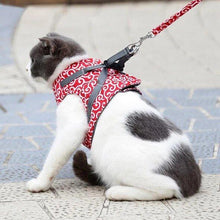 Laden Sie das Bild in den Galerie-Viewer, Geschirr und Leine der Katzenweste zum Gehen im Freien