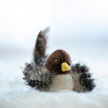 Laden Sie das Bild in den Galerie-Viewer, Katzenspielzeug - Simulierter zwitschernder Vogel