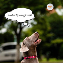 Laden Sie das Bild in den Galerie-Viewer, 🐶 Unzerbrechliche Spielzeugbälle für Hunde 🐶
