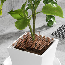 Laden Sie das Bild in den Galerie-Viewer, Blumentopfgitter Blumentopfabdeckung