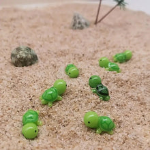 Laden Sie das Bild in den Galerie-Viewer, Sie sind der Beste Schildkröten