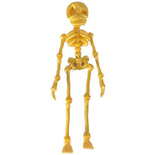 Laden Sie das Bild in den Galerie-Viewer, Skelett Kühlschrankmagnet