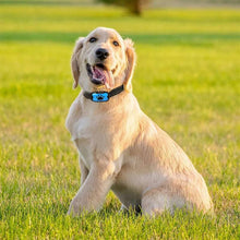 Laden Sie das Bild in den Galerie-Viewer, Wiederaufladbarer, wasserdichter Hundetrainer