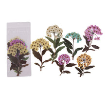 Laden Sie das Bild in den Galerie-Viewer, Getrocknete Blumen Sticker Set