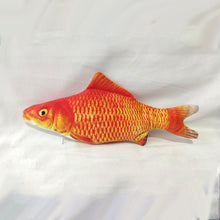 Laden Sie das Bild in den Galerie-Viewer, Elektrischer Fisch für Katze
