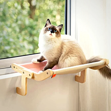 Laden Sie das Bild in den Galerie-Viewer, Katze hängt Bett am Fenster