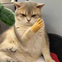 Laden Sie das Bild in den Galerie-Viewer, Lustige Katze Handschuh Spielzeug