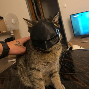 Fledermaus-Katzen-Avenger-Maske