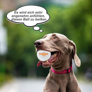 🐶 Unzerbrechliche Spielzeugbälle für Hunde 🐶