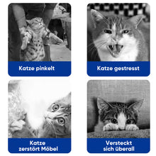 Laden Sie das Bild in den Galerie-Viewer, Pheromon-Diffusor-Set zur Beruhigung von Haustieren (Katze &amp; Hund)
