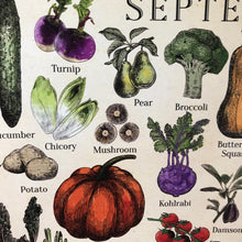 Laden Sie das Bild in den Galerie-Viewer, 🍎 Wandkalender Obst und Gemüse 2025: Feiern Sie jede Jahreszeit mit frischen Produkten! 🌽