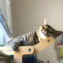 Laden Sie das Bild in den Galerie-Viewer, Katze hängt Bett am Fenster