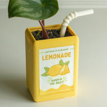 Laden Sie das Bild in den Galerie-Viewer, Saftbox Blumentopf
