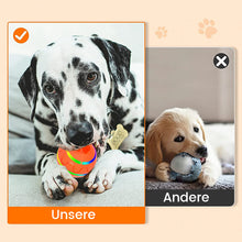 Laden Sie das Bild in den Galerie-Viewer, Intelligenter Haustierball