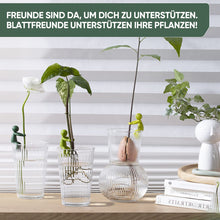Laden Sie das Bild in den Galerie-Viewer, Niedliche praktische Pflanzenunterstützungsfigur
