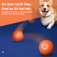 Laden Sie das Bild in den Galerie-Viewer, Elektrischer rollender Haustier-Spielzeugball