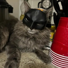 Laden Sie das Bild in den Galerie-Viewer, Fledermaus-Katzen-Avenger-Maske