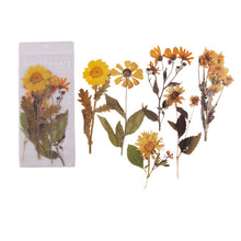 Laden Sie das Bild in den Galerie-Viewer, Getrocknete Blumen Sticker Set