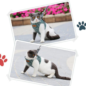 Geschirr und Leine der Katzenweste zum Gehen im Freien